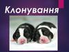 Клонування. Клітинне клонування. Молекулярне клонування