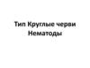 Круглые черви (нематоды)