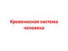 Кровеносная система человека