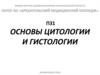 Цитология и гистология. Схема плоскостей в теле человека