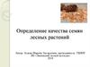 Определение качества семян лесных растений