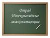 Отряд Насекомоядные млекопитающие