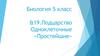 Подцарство Одноклеточные. «Простейшие»