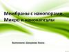 Мембраны с нанопорами. Микро и нанокапсулы