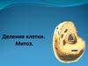 Деление клетки. Митоз