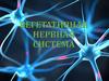 Вегетативная нервная система