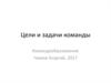 Цели и задачи команды
