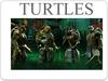 Turtles (graph and table)