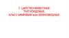 Царство животные. Тип хордовые. Класс амфибии или земноводные