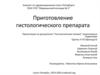 Гистологическая техника. Приготовление гистологического препарата