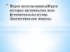 Жүрек аускультациясы. Жүрек шулары: органикалық және функциональды шулар