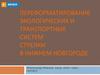 Переформатирование экологических и транспортных систем Стрелки в Нижнем Новгороде