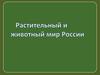 Растительный и животный мир России