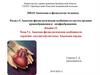 Анатомо-физиологические особенности сердечно-сосудистой системы. Анатомия сердца. (Лекция 12)