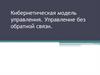 Кибернетическая модель управления. Управление без обратной связи