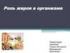 Роль жиров в организме