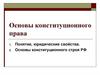 Основы конституционного права РФ