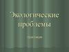 Экологические проблемы. Практикум