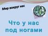 Мир вокруг нас. Что у нас под ногами