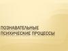 Познавательные психические процессы