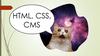 HTML, CSS, CMS