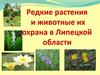 Редкие растения и животные их охрана в Липецкой области