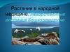 Растения в народной медицине. Лекарственные растения Башкортостана