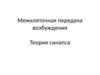 Межклеточная передача возбуждения. Теория синапса