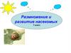 Размножение и развитие насекомых