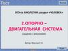 Опорно-двигательная система человека. (ОГЭ. Тест 2)