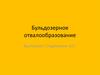 Бульдозерное отвалообразование