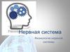 Нервная система. Физиология нервной системы