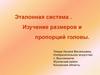Эталонная система. Изучение размеров и пропорций головы. Последовательность выполнения набросков головы человека