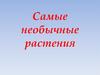 Самые необычные растения