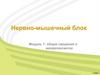 Нервно-мышечный блок. Модуль 1: общие сведения о миорелаксантах