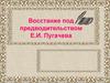 Восстание под предводительством Е. И. Пугачева