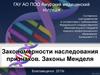 Закономерности наследования признаков. Законы Менделя
