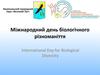 Міжнародний день біологічного різноманіття. Національний природний парк «Великий Луг»