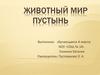 Животный мир пустынь