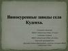 Винокуренные заводы села Кудеиха