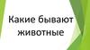 Какие бывают животные