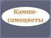 Камни-самоцветы