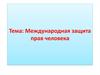 Международная защита прав человека