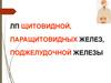 ЛП щитовидной, паращитовидных желез, поджелудочной железы