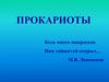 Прокариоты. Уровни клеточной организации