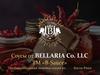 Соусы от BELLARIA Co. LLC ТМ «B-Sauce». Профессиональная линейка соусов из Коста-Рики