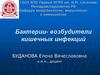Возбудители кишечных инфекций