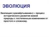 Эволюция. Доказательства эволюции