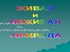 Живая и не живая природа