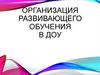 Организация развивающего обучения в ДОУ